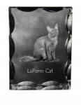 Art-Dog Laperm macska fotó díszes kristályban, ajándéktárgy, lakásdekoráció (5055882449930)