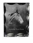 Art-Dog Ló Australian Stock Horse fotó díszes kristály, ajándék dekoráció (5055882450233)