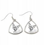 Art-Dog Burmai macska háromszög alakú, fényképes lógós fülbevaló, személyre szabott (5055882476738)