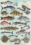 Trefl - Puzzle Premium Plus Finders Keepers: Pește - 500 piese Puzzle