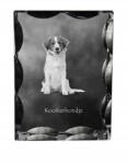 Art-Dog Kooikerhondje kutya fotó díszes kristály, ajándéktárgy, lakásdekoráció (5055882448872)