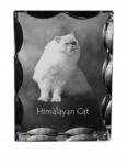 Art-Dog Himalája macska fotó díszes kristályban, ajándéktárgy, lakásdekoráció (5055882449763)