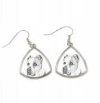 Art-Dog Közép-ázsiai juhászkutya háromszög alakú lógós fülbevaló kutyával, fényképpel (5055882475106)