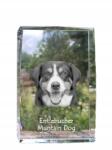 Art-Dog Entlebucher kutya kép kristályban, ajándéktárgy, trófea, köszönetajándék (5055882466630)