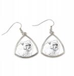 Art-Dog Himalája macska háromszög alakú, fényképes lógós fülbevaló, személyre szabható (5055882476769)