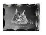 Art-Dog Maine Coon macska fotó díszes kristályban, ajándéktárgy, lakásdekoráció (5055882449473)