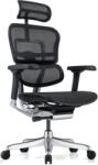 Antares Ергономичен стол Antares - ERGOHUMAN 2 ELITE, черен (ERGOHUMAN-2-ELITE-BLACK-BLACK)