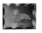 Art-Dog Újfundland kutya fotó díszes kristályban, ajándéktárgy, lakásdekoráció (5055882447790)