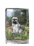 Art-Dog Brüsszeli griffendéles fotó kutya kristály, emlék trófea köszönetnyilvánítás (5055882465756)