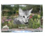 Art-Dog Savannah macska kristályos fotó, emléktárgy, trófea, köszönetnyilvánítás (5055882467644)