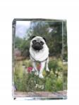 Art-Dog Mopsz, Pug kutya kép kristályban, ajándéktárgy, trófea, köszönetajándék (5055882465848)