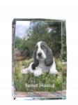 Art-Dog Basset Hound kutya kép kristályban, ajándéktárgy, trófea, köszönetajándék (5055882465497)