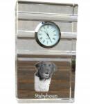  Frizbi vizsla kristály asztali karóra kutyával, az Ön fényképével (5060381108349)