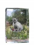 Art-Dog Burmai macska fotó kristályban, emléktárgy, trófea, köszönetnyilvánítás (5055882467736)