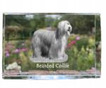 Art-Dog Bearded Collie kutya kép kristályban, ajándéktárgy, trófea, köszönetajándék (5055882466012)