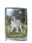 Art-Dog Spanyol masztiff kutya kép kristályban, emléktárgy, trófea, köszönetnyilvánítás (5055882467286)