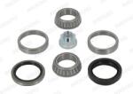 Moog Set rulment roata MOOG DE-WB-12059 (DE-WB-12059) - fixbox