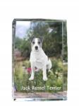 Art-Dog Jack Russell terrier kutya kép kristályban, ajándéktárgy, trófea, szobor (5055882466241)
