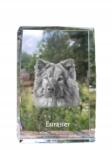 Art-Dog Eurasier kutya kép kristályban, ajándéktárgy, trófea, köszönetajándék (5055882467132)