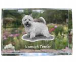 Art-Dog Norwich terrier kutya kép kristályban, ajándéktárgy, trófea, köszönetajándék (5055882465800)