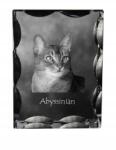 Art-Dog Abesszin macska fotó díszes kristályban, ajándéktárgy, lakásdekoráció (5055882449503)