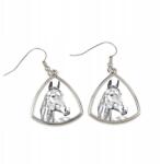 Art-Dog Warmblood amerikai ló háromszög alakú lógós fülbevaló fényképpel (5055882477216)