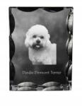 Art-Dog Dandie Dinmont terrier kutya kép díszes kristály, ajándék dekoráció (5055882448537)
