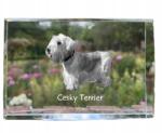 Art-Dog Cseh terrier fénykép kutya kristályban, emléktárgy, trófea, köszönetnyilvánítás (5055882466456)