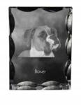 Art-Dog Boxer kutya kép díszes kristályban, ajándéktárgy, lakásdekoráció (5055882448070)