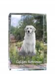 Art-Dog Golden Retriever kutya kép kristályban, ajándéktárgy, trófea, köszönetajándék (5055882465725)