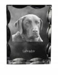 Art-Dog Labrador retriever kutya kép díszes kristályban, ajándéktárgy, dekoráció (5055882448261)
