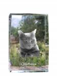 Art-Dog Chartreux macska kristályos fotó, emléktárgy, trófea, köszönetnyilvánítás (5055882467705)