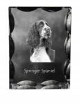 Art-Dog Springer spániel angol kutya kép díszes kristályban, ajándéktárgy (5055882448377)