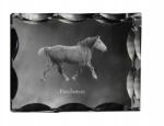 Art-Dog Ló Perszeron fotó díszes kristályban, ajándéktárgy, lakásdekoráció (5055882450325)
