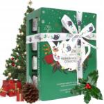 English Tea Shop Karácsonyi bio tea szett piramisokban English Tea Shop (609)