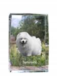 Art-Dog Samojed Samoyed kutya kép kristályban, emléktárgy, trófea, köszönetnyilvánítás (5055882465886)