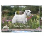 Art-Dog Sealyham terrier kutya kép kristályban, ajándéktárgy, trófea, köszönetajándék (5055882466470)