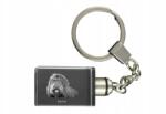 Art-Dog Barbet kristály kulcstartó kutya kulcstartó fényképpel megvilágított (5055882427983)