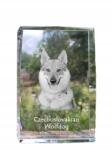 Art-Dog Csehszlovák farkas kutya kép kristályban, emléktárgy, trófea (5055882467118)