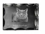 Art-Dog Brit macska rövidszőrű fotó díszes kristályban, ajándéktárgy, dekoráció (5055882449565)