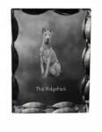 Art-Dog Thai Ridgeback kutya kép díszes kristályban, ajándéktárgy, lakásdekoráció (5055882449305)