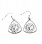 Art-Dog Golden Retriever háromszög alakú lógós fülbevaló kutyával, fényképpel (5055882474727)