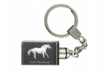 Art-Dog Cseh ló melegvérű kristály kulcstartó ló kulcstartó fényképpel (5055882429338)