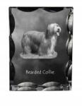 Art-Dog Bearded Collie kutya fotó díszes kristályban, ajándéktárgy, lakásdekoráció (5055882448018)