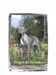 Art-Dog Bordeaux-i kutya képe a kutyáról kristályban, emléktárgy, trófea, köszönetnyilvánítás (5055882465671)