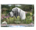 Art-Dog Pointer kutya kép kristályban, ajándéktárgy, trófea, köszönetnyilvánítás (5055882466302)