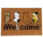 Home Elements WELCOME cicák kókuszrost lábtörlő - 60x40 cm (IMO-TCO-8595717305583)