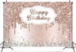  Rose Gold Születésnapi Fotó Háttér 290x250cm (tło fotograficzne)