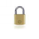 Yale Sárgaréz Járom Lakat Yale Y110B/20/111/1 20MM 3 Kulcs (Y110/20/111/1)