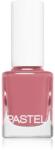 Pastel Nail Polish körömlakk árnyalat 310 13 ml